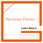 Darwinian Finches. Learn more.